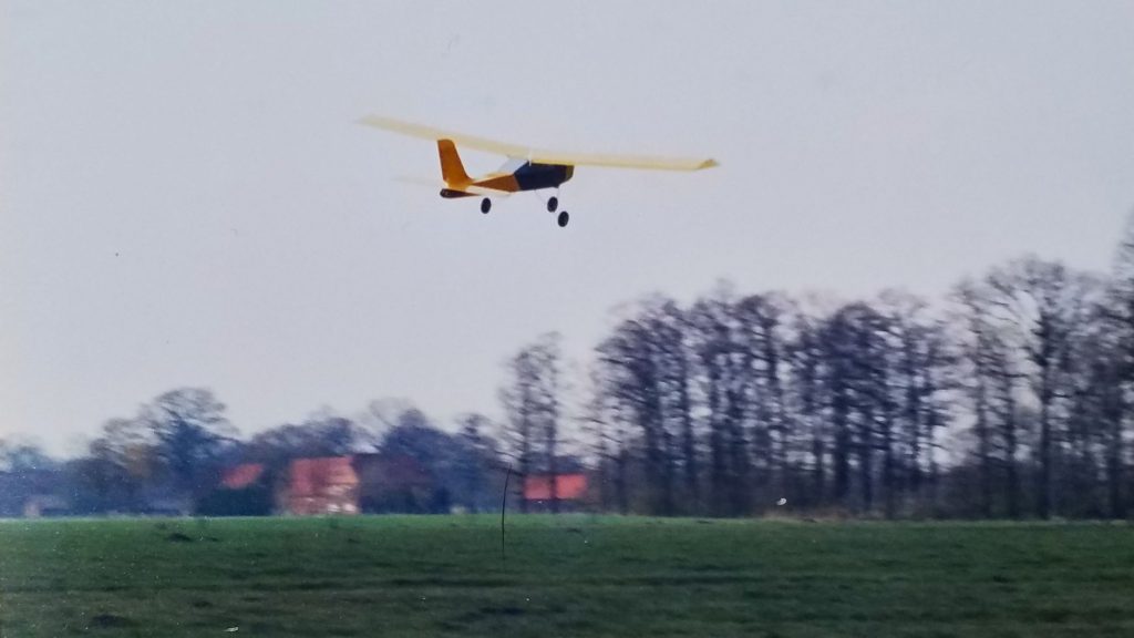 Fliegen auf der grünen Wiese.